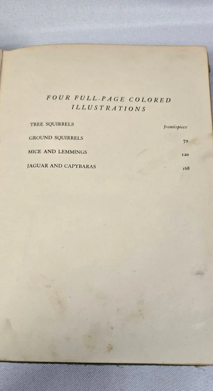 No Brand perfect collectors